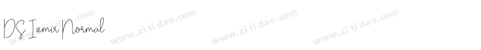 DS Izmir Normal字体转换